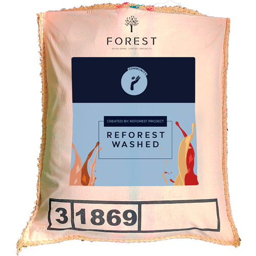 REFOREST WASHED