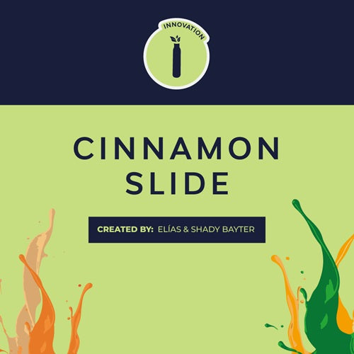 CINNAMON SLIDE