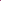 JUICY BERRIES - Forest Coffee