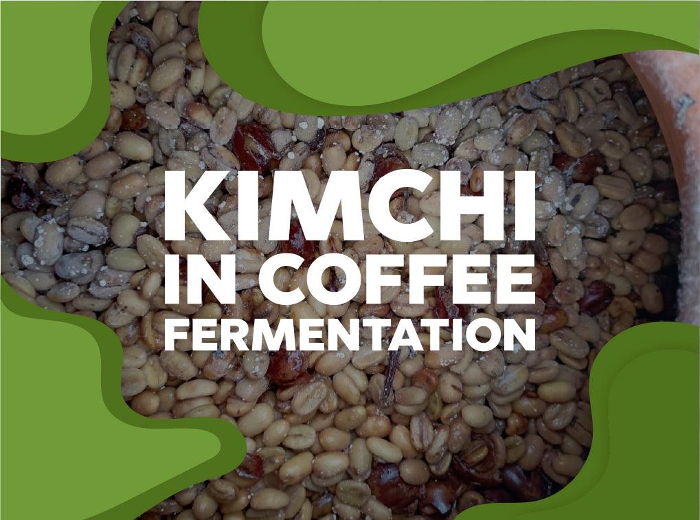 Kimchi, the fermentation technique transferred to coffee. - Forest Coffee