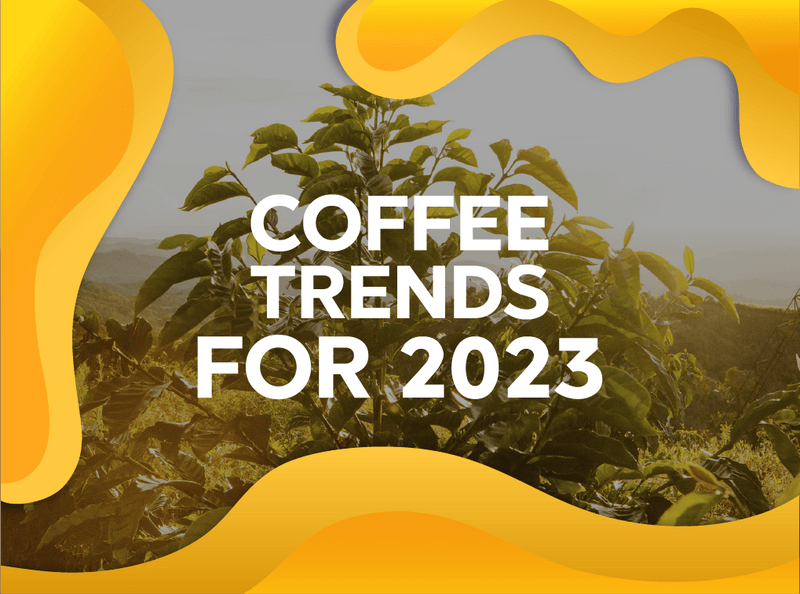 Coffee trends for 2023 - Forest Coffee