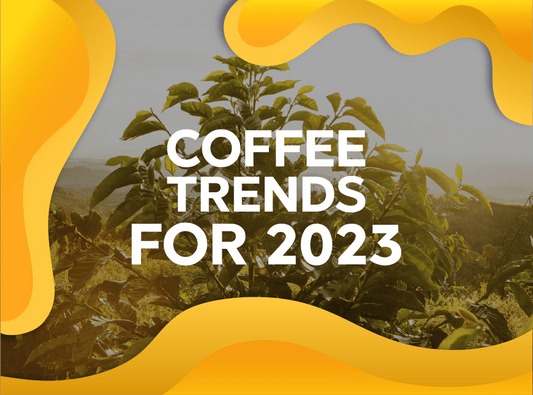 Coffee trends for 2023 - Forest Coffee 