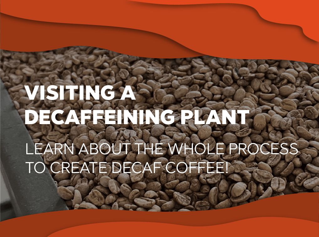 Our visit to Descafecol, a decaffeining plant. - Forest Coffee