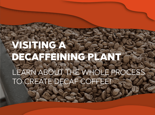 Our visit to Descafecol, a decaffeining plant. - Forest Coffee 