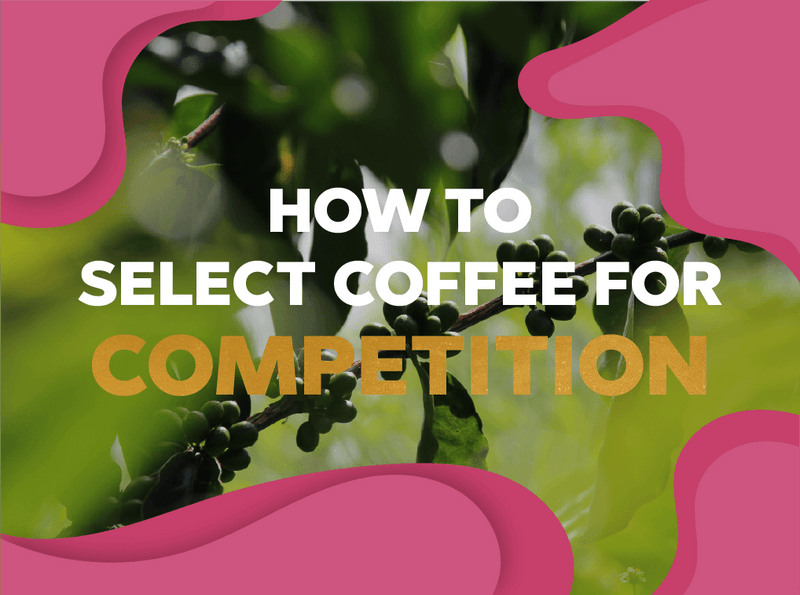 How to select coffee for competition? - Forest Coffee