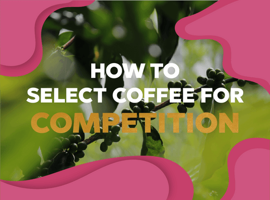 How to select coffee for competition? - Forest Coffee 