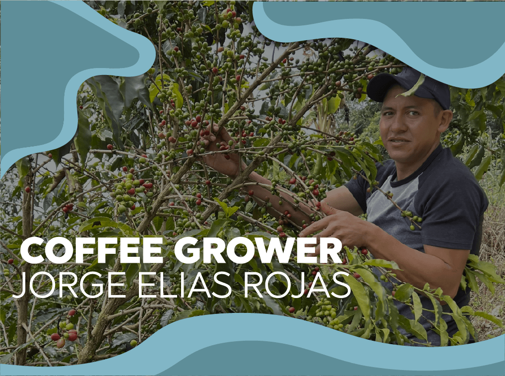 Coffee grower | Jorge Elias Rojas - Forest Coffee 