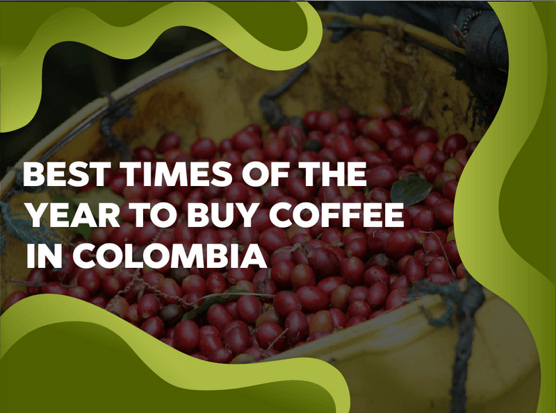 Best times of the year to buy coffee in Colombia - Forest Coffee