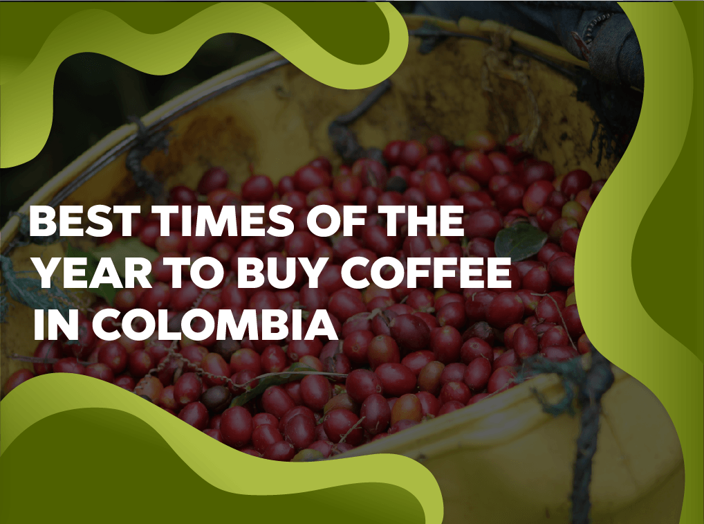 Best times of the year to buy coffee in Colombia - Forest Coffee 