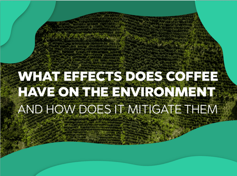 What effects does coffee have on the environment and how does it mitigate them - Forest Coffee