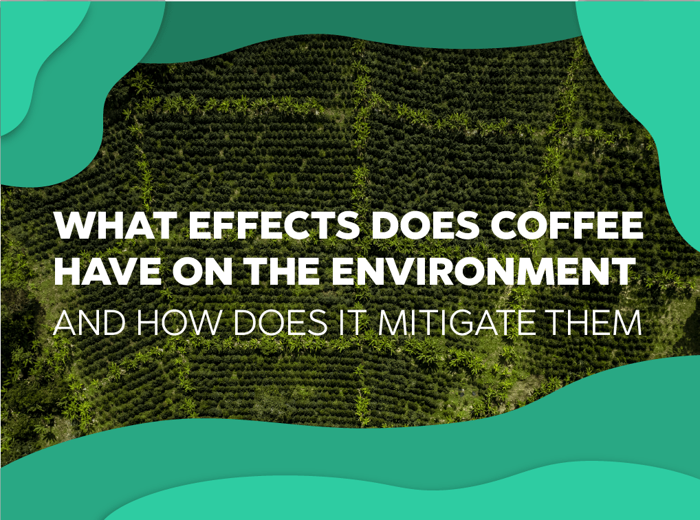 What effects does coffee have on the environment and how does it mitigate them - Forest Coffee