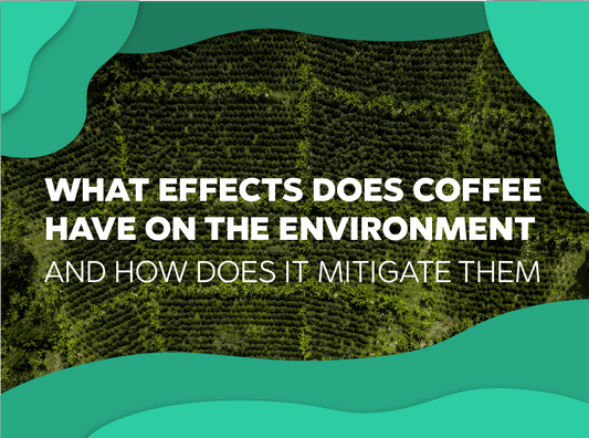 What effects does coffee have on the environment and how does it mitigate them - Forest Coffee 