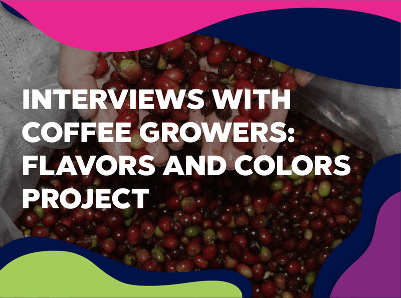 Flavors and colors project interviews with coffee growers - Forest Coffee