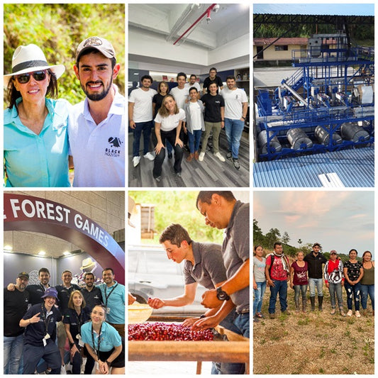 CELEBRATING 5 YEARS OF FOREST COFFEE: REFLECTIONS AND FUTURE VISION