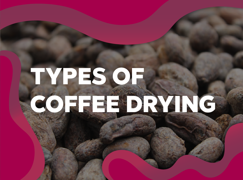 Types of coffee drying