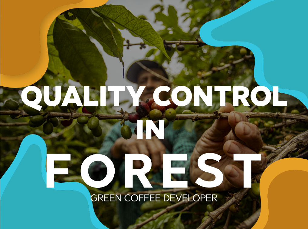 Coffee quality control