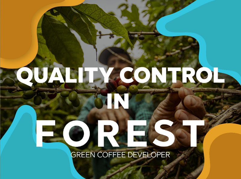 Coffee quality control
