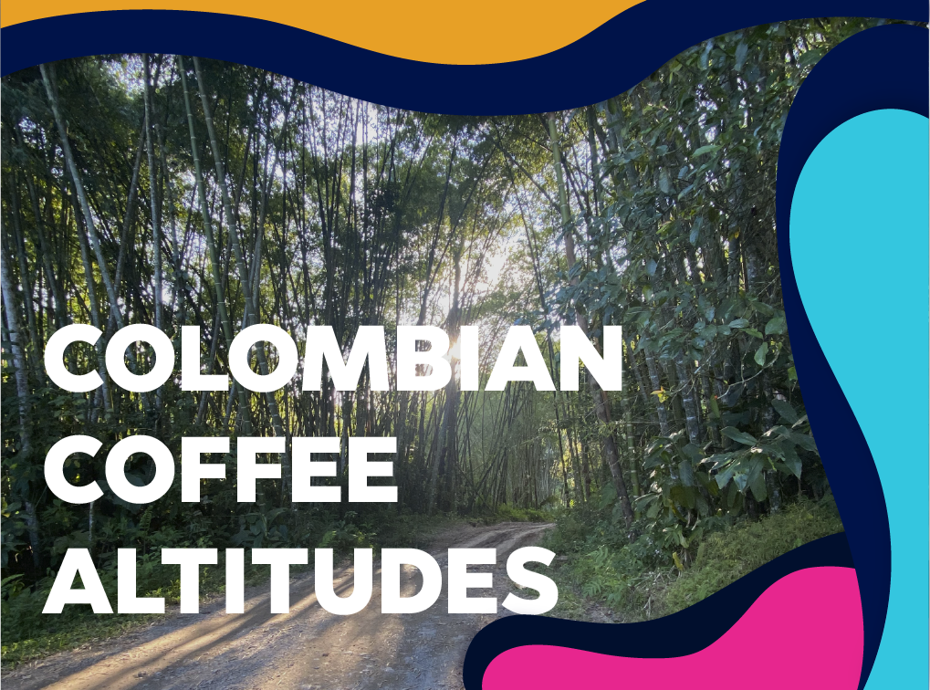 Colombian coffee altitudes - Forest Coffee