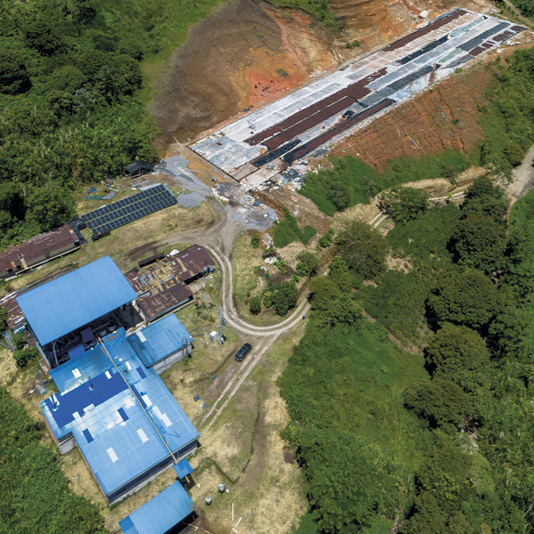 What Does Sustainable Specialty Coffee Mean?