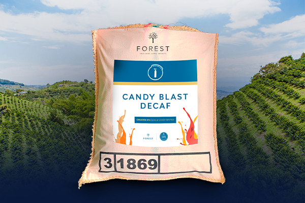 A NEW ERA OF DECAF COFFEE: BOLD FLAVOR & THE MINDFUL COFFEE TREND