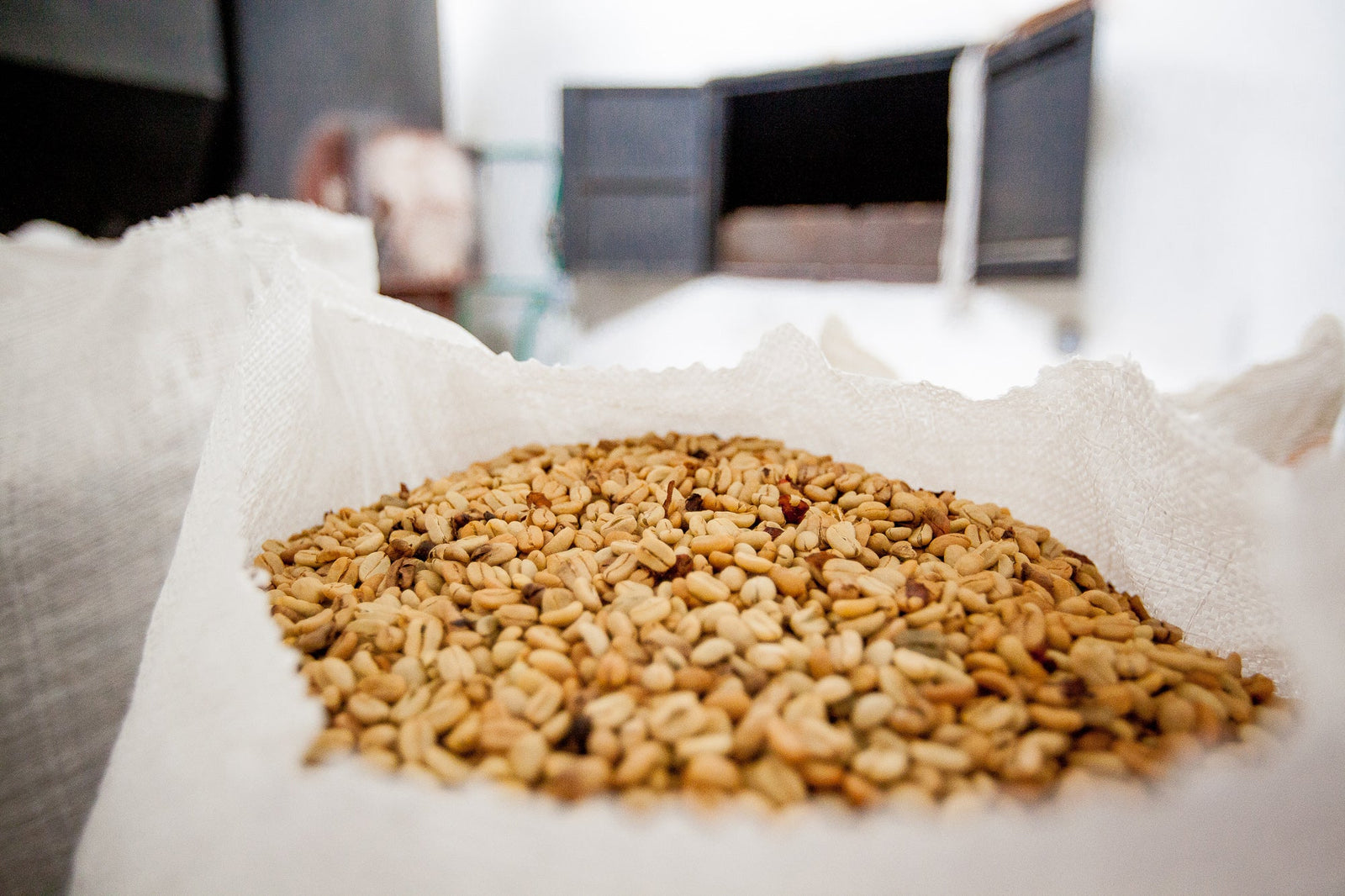 Traceability in Specialty Coffee: What Roasters Should Actually Be Asking Their Suppliers