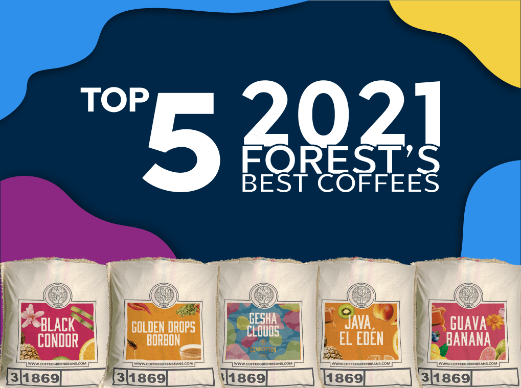 TOP 5 FOREST COFFEE BLOG - Forest Coffee 
