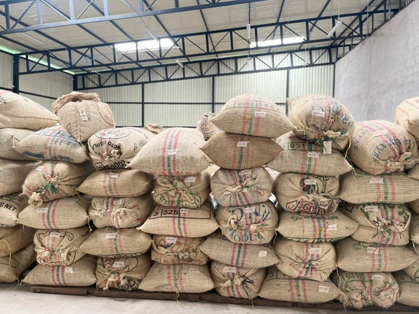 WHAT DID COFFEE TEACH US IN THE FIRST HALF OF 2025? LESSONS IN RESILIENCE AND ADAPTATION