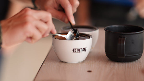 What Is Specialty Coffee? The Complete Guide
