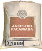 ANCESTRO PACAMARA