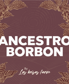 ANCESTRO BORBON HONEY - Forest Coffee 