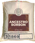 ANCESTRO BORBON HONEY