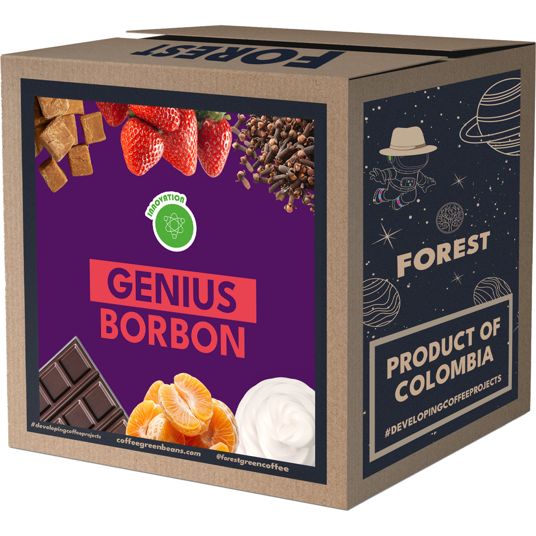 GENIUS BORBON