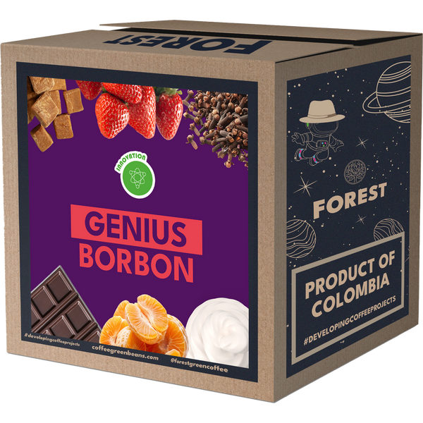 GENIUS BORBON