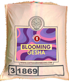 BLOOMING GESHA