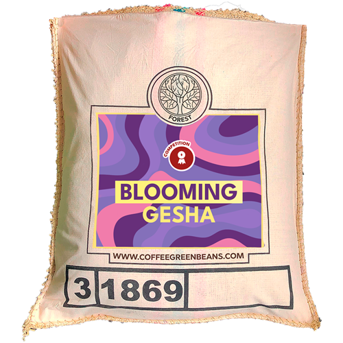 BLOOMING GESHA