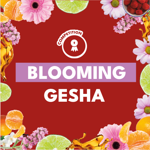 BLOOMING GESHA