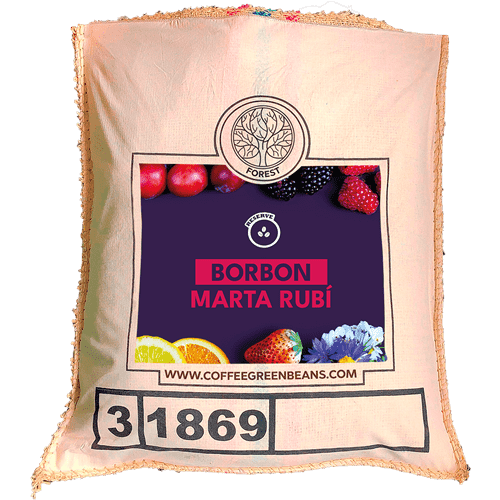 BORBON MARTA RUBI