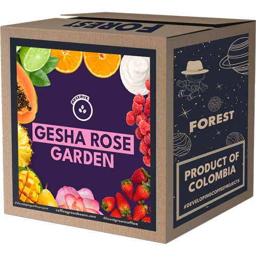 GESHA ROSE GARDEN