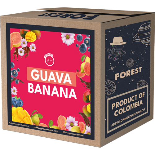 GUAVA BANANA