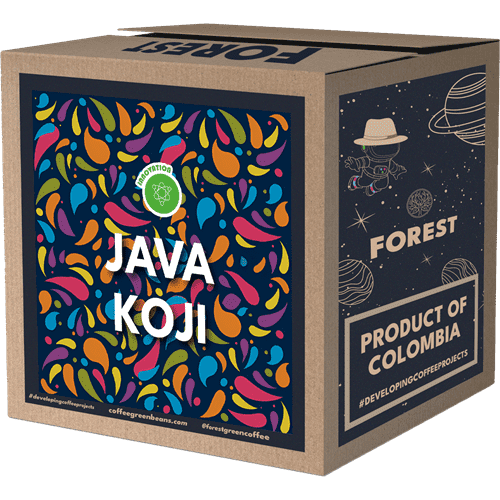 Java Koji Green Coffee – Koji Supernatural fermentation process ...