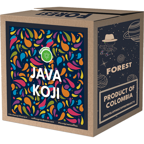 JAVA KOJI