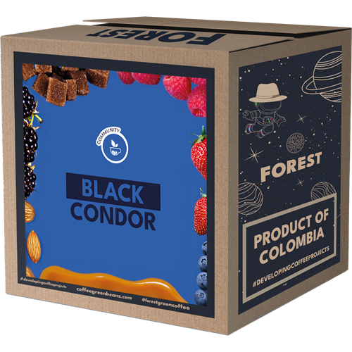 BLACK CONDOR - Forest Coffee