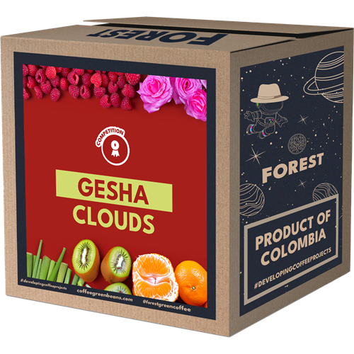 GESHA CLOUDS