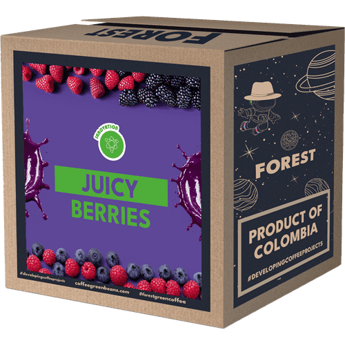 JUICY BERRIES