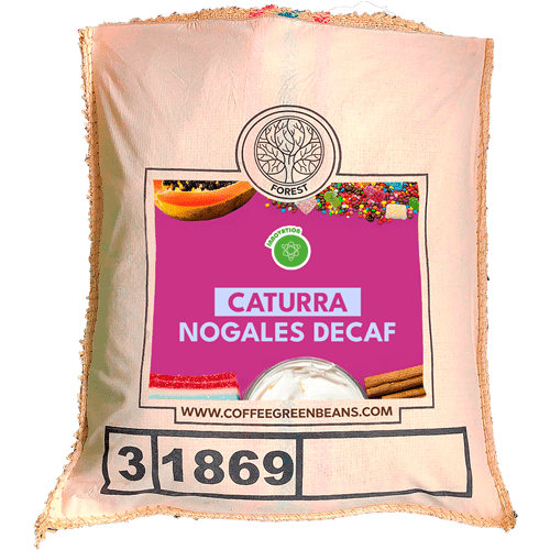 CATURRA NOGALES DECAF