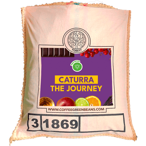 CATURRA THE JOURNEY