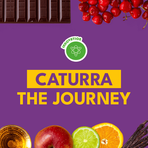 CATURRA THE JOURNEY