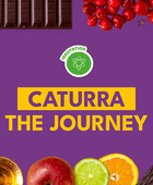 CATURRA THE JOURNEY