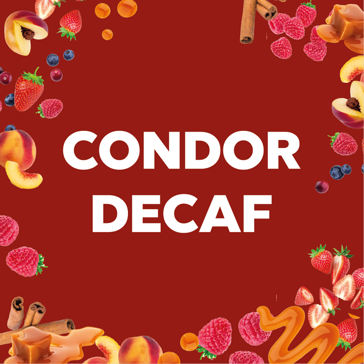 CONDOR DECAF - Forest Coffee 