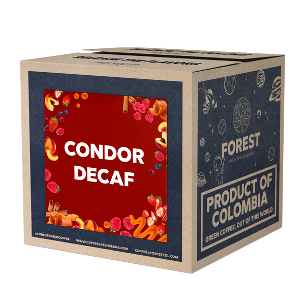 CONDOR DECAF - Forest Coffee 